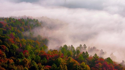 湖北遠安：農(nóng)旅融合實現(xiàn)“兩山”轉(zhuǎn)化